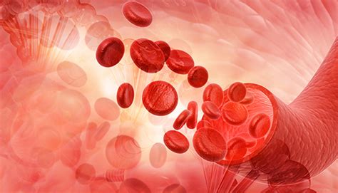 Hemolytic Anemia Johns Hopkins Medicine