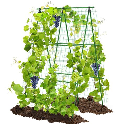 4feet Wx6feet H Garden Trellis For Cucumber Climbing Plants Outdoorsturdy Metal Plant Support