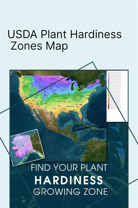 Usda planting zones map – Artofit