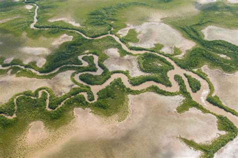 9,000+ River Delta Aerial View Stock Photos, Pictures & Royalty-Free ...