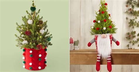 Best Live Tabletop Christmas Trees 2022 Ps Home