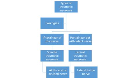 Mri Musculo Skeletal Section Traumatic Neuroma