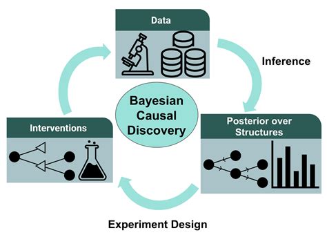 Towards Bayesian Causal Structure Learning In Real World Applications