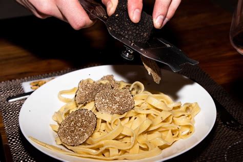 Your Guide To Truffles And Why Theyre So Expensive