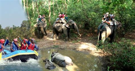 Days Chitwan Jungle Safari With Rafting Smile Adventure And Tours