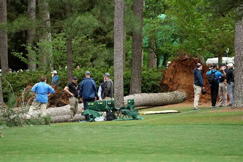 Large Tree Falls Near Spectators at the 2023 Masters Tournament