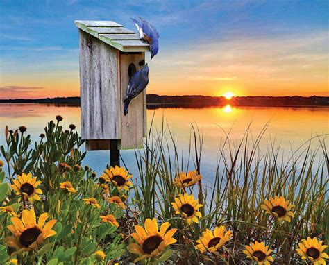 Bluebird Sunrise Pieces Heritage Puzzles Puzzle Warehouse