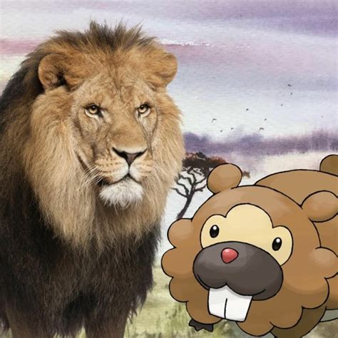 Pokemon Real Vs Lions By Hopera On Deviantart 53 Off