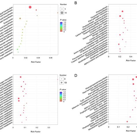 Heatmap Analyses Of The Degs Related To Phenylpropanoid Metabolism Download Scientific Diagram