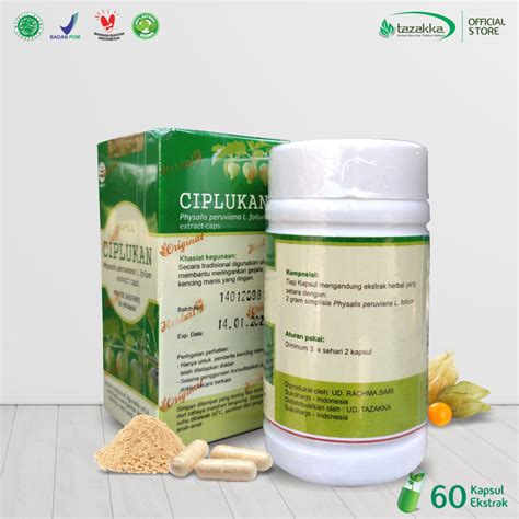 Jual Kapsul Ciplukan Tazakka Original Obat Jantung Herbal Diabetes