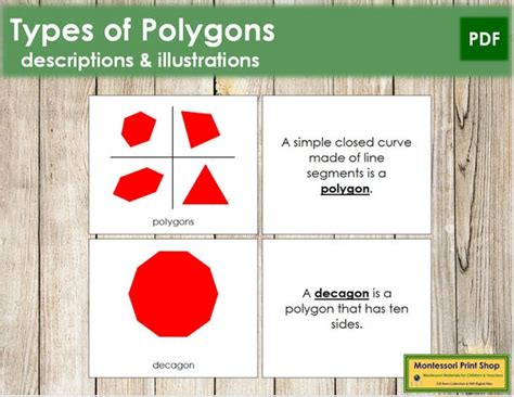 Types of Polygons Nomenclature Book Geometry Printable - Etsy