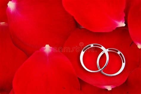 Wedding Rings in Red Rose Petals Stock Photo - Image of beautiful, love ...