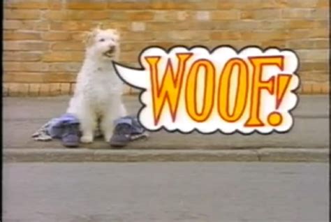 Picture Of Woof