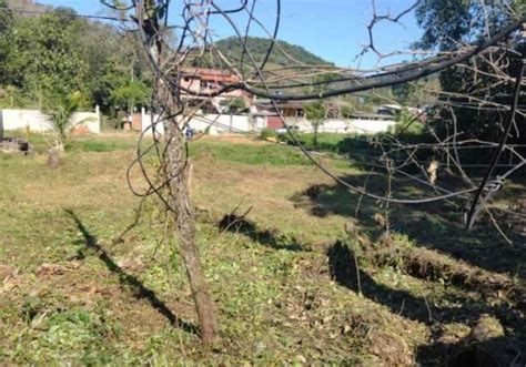 Terrenos à venda no Cadetes Fabres em Guapimirim Chaves na Mão