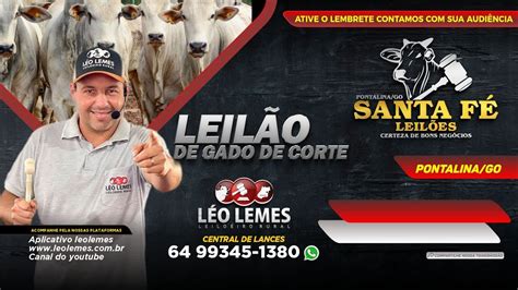 Leil O De Gado De Corte Em Goi S Santa F Leil Es Pontalina Go