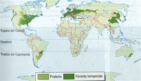 Giratorio Boca Cicatriz Regioni Temperate Puerto Mar Timo Term Metro El