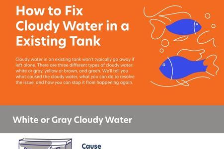 how to fix cloudy tank water