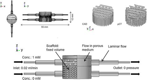 Frontiers 3D Printing For Bone Cartilage Interface Regeneration