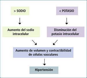 O Sódio Interfere Na Pressão Arterial E No Volume Celular - Sodio, potasio e hipertensión arterial | Revista Médica Clínica Las Condes