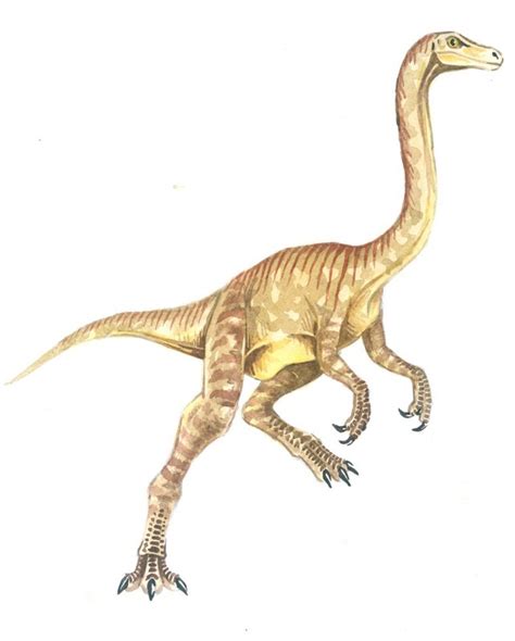 Gallimimus Pictures & Facts - The Dinosaur Database