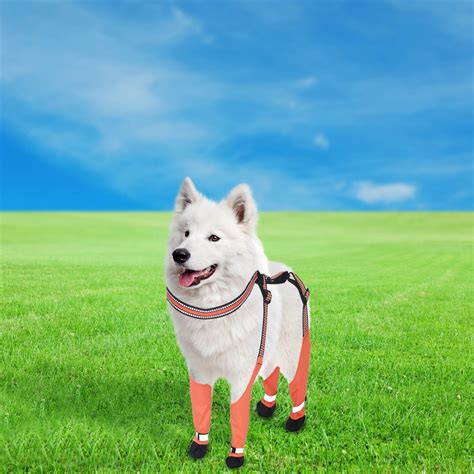 KeirineCC Dog Suspender Booties, Dog Paw Boot Leggings Anti-Slip, Dog