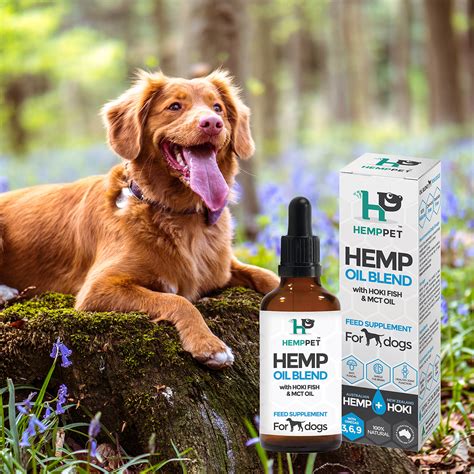 15 Best Eco-Friendly Pet Brands for Dog Lovers | Australian Dog Lover