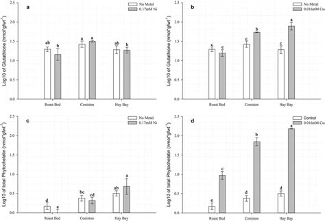 levels  glutathione     total phytochelatin