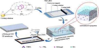 A novel wholly Tröger s Base based polyamide nanofiltration membrane