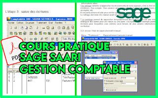 Formation Pratique Sur Le Logiciel Sage Saari Comptabilit En Format