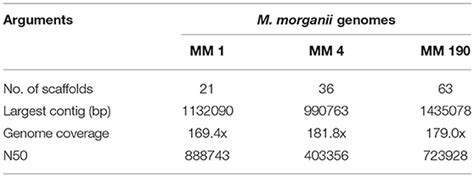 Frontiers Comparative Genome Analysis Of Uropathogenic Morganella