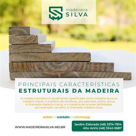 Principais características estruturais da madeira Madeireira Silva