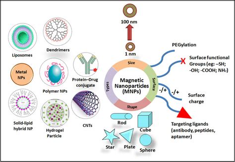 Classification Of MNPs Employed As Carriers For Drug Delivery In Cancer