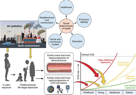 Air Pollution, Built Environment, and Early Cardiovascular Disease