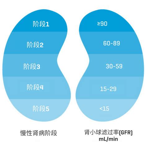 慢性肾病第5期