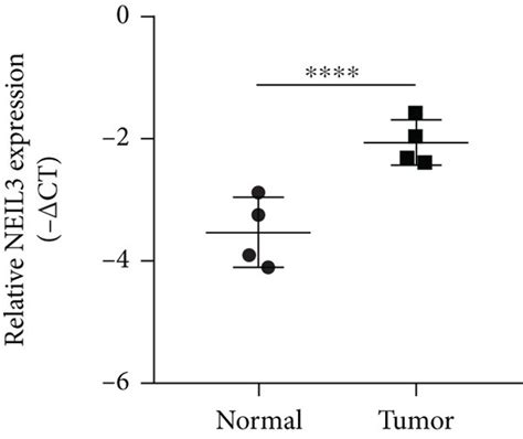 Neil3 Promoted Lung Cancer Cell Proliferation Notes A Expression Download Scientific