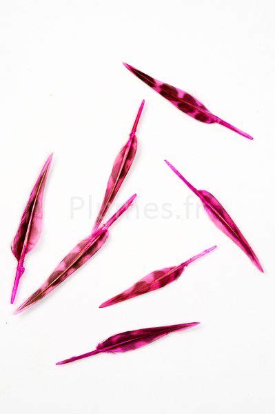 Plumes De Couronnes De Perdrix Fuchsia Plumes Fr Produit