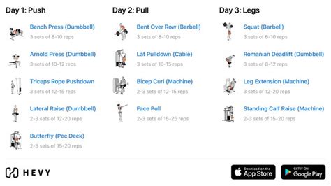 6 Day Split Workout The Complete Guide 2022 Hevy Workout