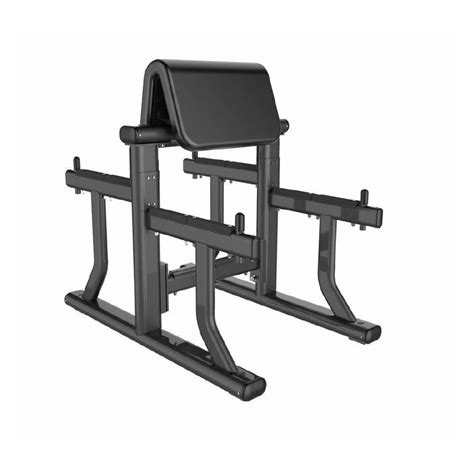 Black Mild Steel Standing Preacher Curl Bench For Gym At Rs In