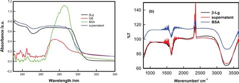 A Uv Visible Spectra Of Bsa B Lg And Gb With Bsa B Lg Gb