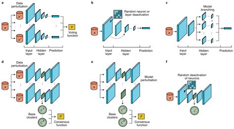 Nat Mach Intell 集成深度学习在生物信息学中的发展与展望 Ensemble Deep Learning Csdn博客