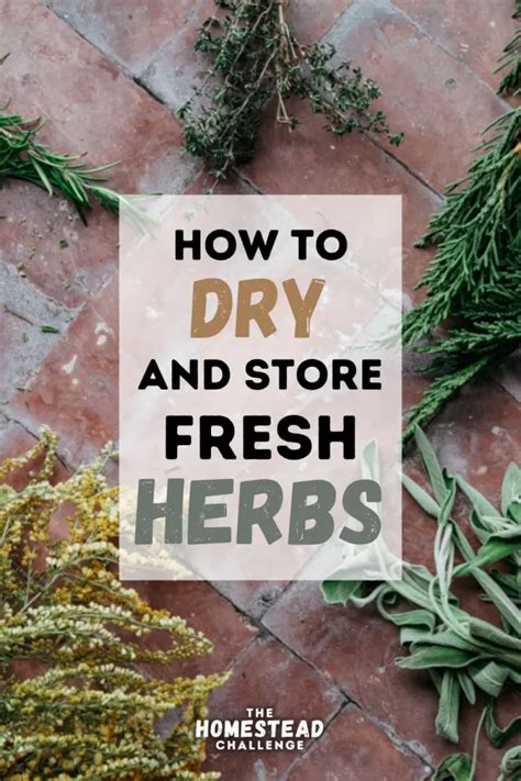 The Best Methods For Drying And Storing Fresh Herbs Artofit