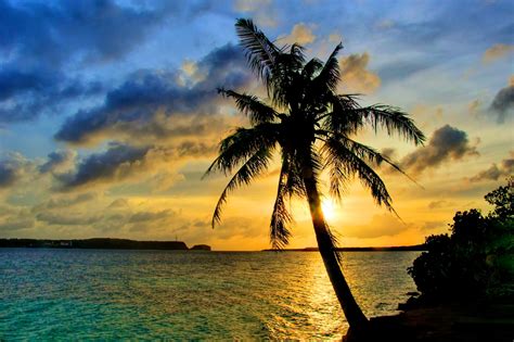 Family Beach at Sunset - Joshua T. Wood, Photography