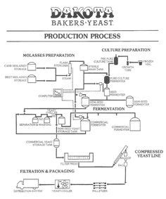 pioneer eq  wiring diagram wiring diagram pictures