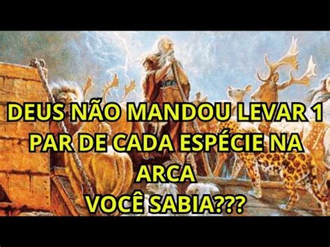 A Verdade Sobre Os Pares De Animais Que Entraram Na Arca Youtube