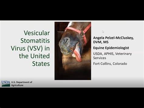 Vesicular Stomatitis What You Need To Know Youtube