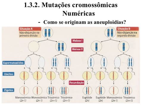 Mutacao Cromossomica - Aula 1 - parte 1 Mutação