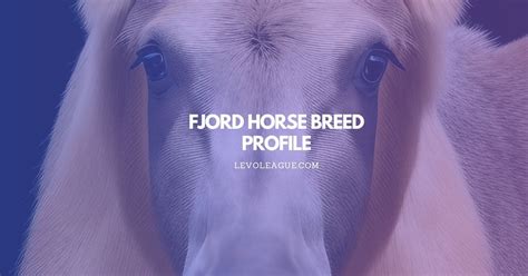 Fjord Horse Breed Profile: Facts, Temperament, Lifespan, and Care