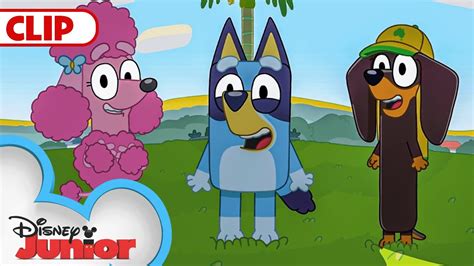 Bluey Season 1 Episode 6 Shadowlands Episode Clip Disneyjr