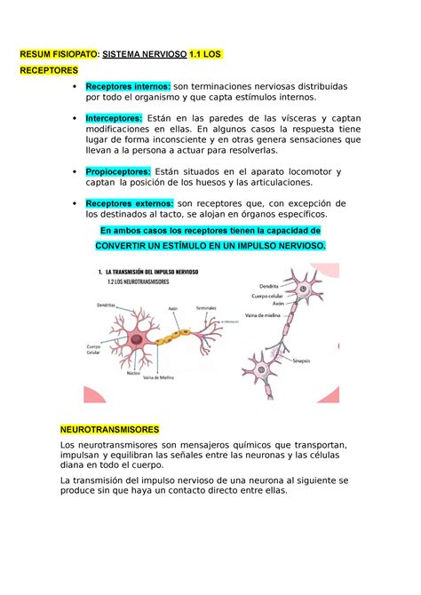 Fisiopato Resum Sistema Nerviós RESUM FISIOPATO SISTEMA NERVIOSO 1