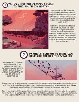 The Lost Art of Reading Nature's Signs by Magnolia Bernal | TpT